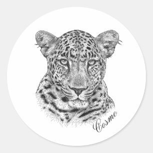 Stickers - Cosmo