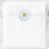 Stickers - Cosmos blancs (Sac)