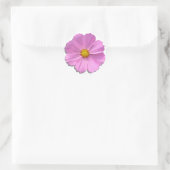 Stickers - Cosmos rose moyen (Sac)