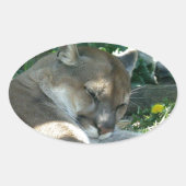 Stickers Cougar de repos (Devant)