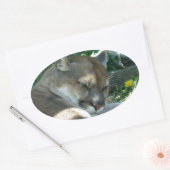 Stickers Cougar de repos (Enveloppe)