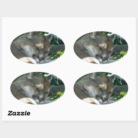 Stickers Cougar de repos (Feuille)
