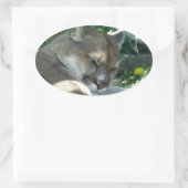 Stickers Cougar de repos (Sac)