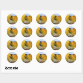 Stickers couleur Colorado (Feuille)