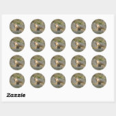 Stickers Coyote Images (Feuille)