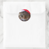 Stickers Cranky Christmas Cat (Sac)