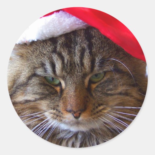 Stickers Cranky Christmas Cat (Devant)