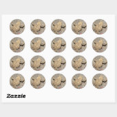 Stickers Crawling Toad (Feuille)