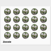Stickers Crazy Wood Stork (Feuille)
