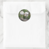 Stickers Crazy Wood Stork (Sac)