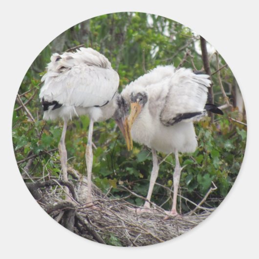 Stickers Crazy Wood Stork (Devant)