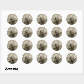 Stickers cricket Brown (Feuille)