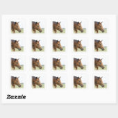 Stickers curieux à bec épais (Feuille)