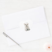 Stickers Cute Bichon Frise (Enveloppe)