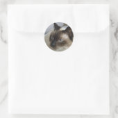 Stickers Cute Kitten (Sac)