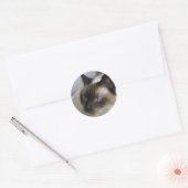 Stickers Cute Kitten (Enveloppe)