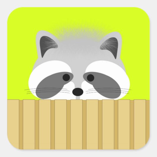 Stickers Cute Raccoon (Devant)