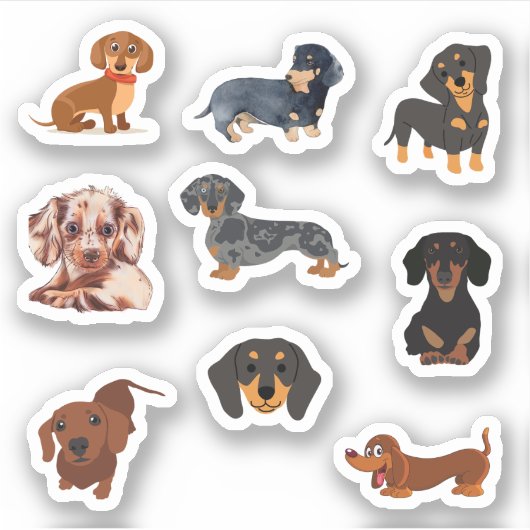 Stickers Dachshund (Devant)