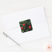 Stickers Dahlia Irish Glow #1 (Enveloppe)