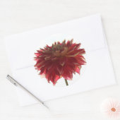stickers dahlia rouge, orange et jaune (Enveloppe)