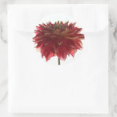 stickers dahlia rouge, orange et jaune (Sac)