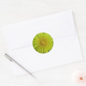 Stickers - Dandelion (Enveloppe)