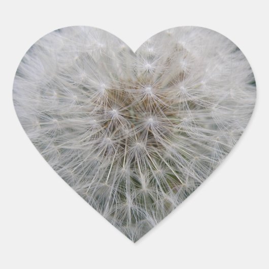 Stickers Dandelion (Devant)