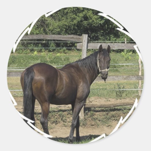 Stickers Dark Bay Thoroughbred (Devant)