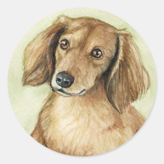 Stickers d'art pour chiens "Long Haired Dachshund" (Devant)
