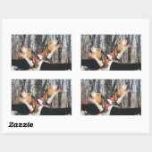 Stickers de bobines Howeing Treeing Walker (Feuille)