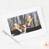Stickers de bobines Howeing Treeing Walker (Enveloppe)