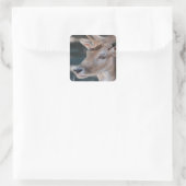 Stickers de cerfs en jachère (Sac)