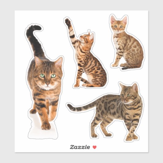 Stickers de chats du Bengale (Feuille)