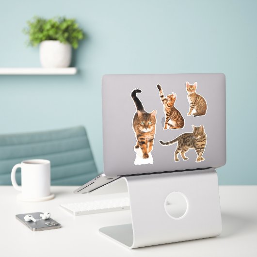 Stickers de chats du Bengale (Ordinateur portable sur le bureau)