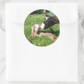 Stickers de chèvre série 6 (Sac)