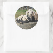 Stickers de chèvre série 6 (Sac)