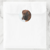 stickers de chiot de boxer Brindle (Sac)