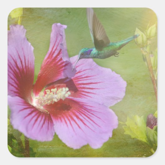Stickers de collecte des colibris (Devant)