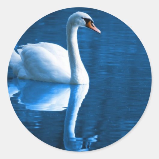 Stickers de cygne muet (Devant)