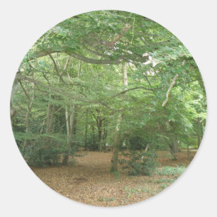 Stickers de défrichage des bois