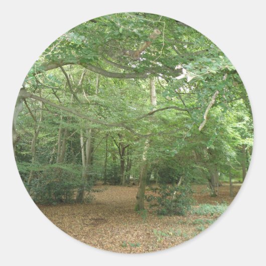 Stickers de défrichage des bois (Devant)
