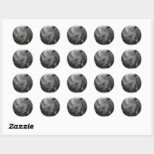 Stickers de faits Rhino (Feuille)