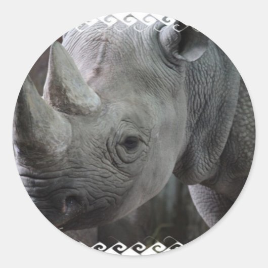 Stickers de faits Rhino (Devant)