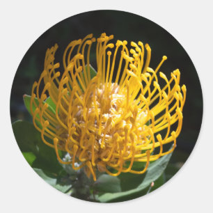 Stickers de fleurs à crosse jaune