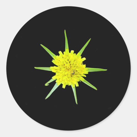 Stickers de fleurs sauvages de la barbe de chèvre (Devant)