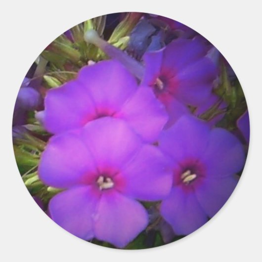 Stickers de fleurs violettes (Devant)
