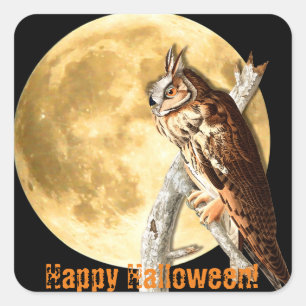 Stickers de hibou à oreilles longues d'Halloween A