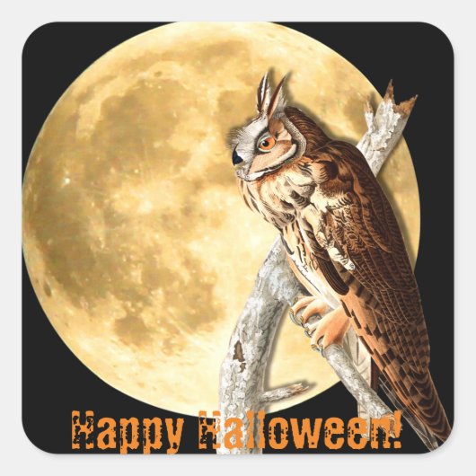 Stickers de hibou à oreilles longues d'Halloween A (Devant)