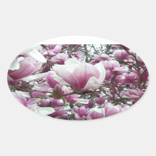 Stickers - de Magnolia van de Schotel