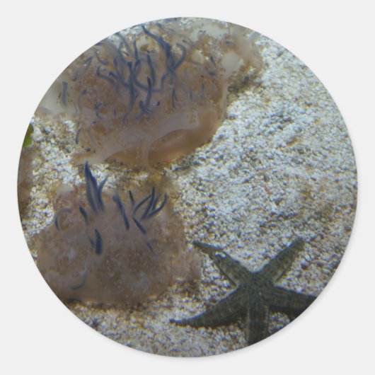 Stickers de méduses à l'envers (Devant)